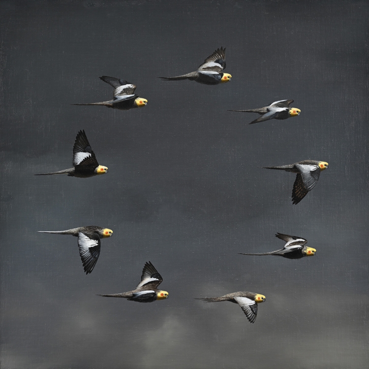 向山裕 「騎行」 2025 油彩、キャンバス 65.2×65.2cm