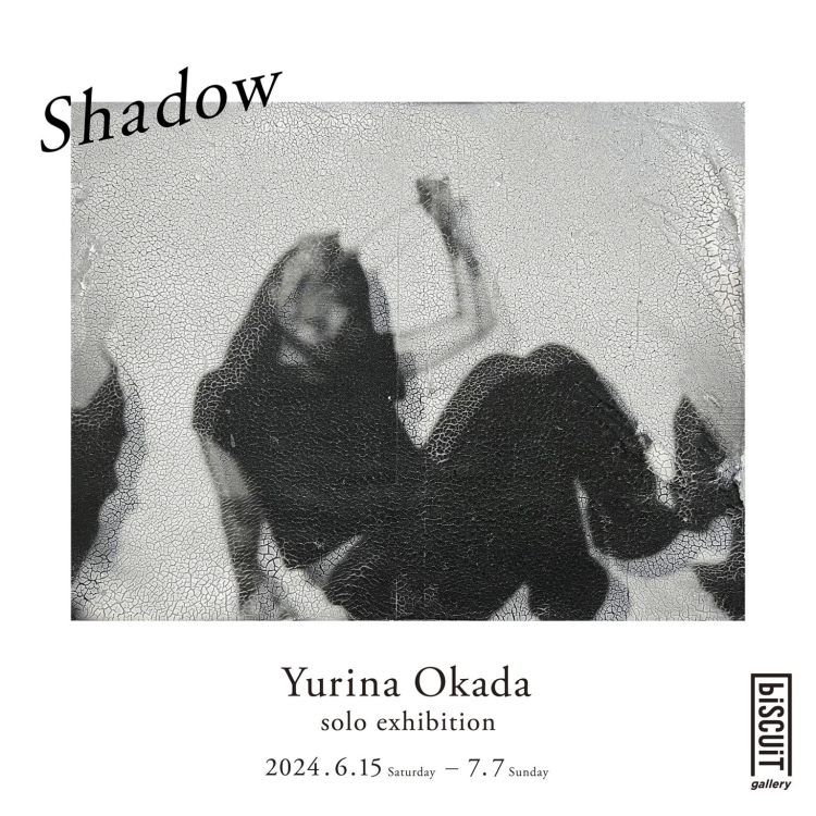 Yurina Okada solo exhibition “Shadow” main visual
