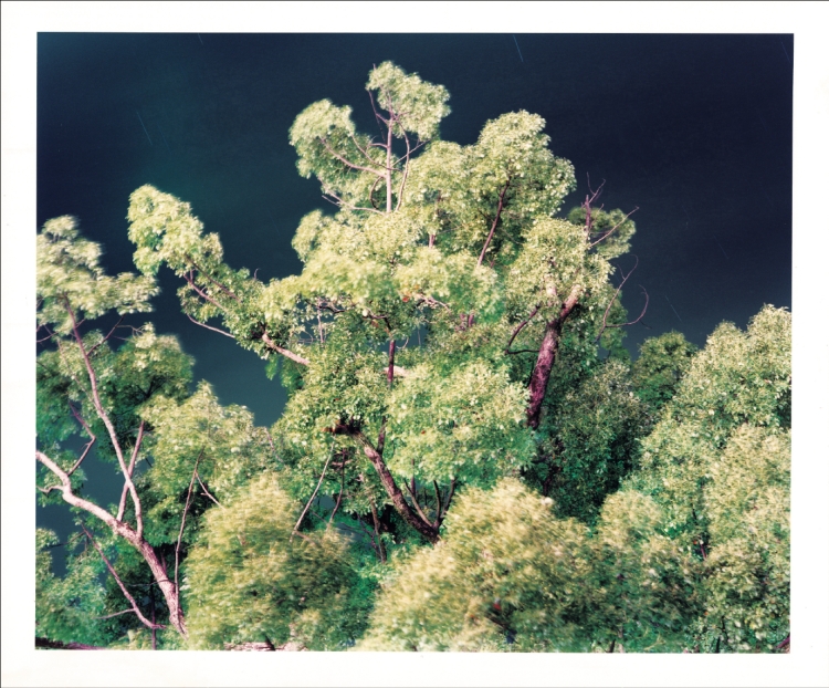 ©️Kunihiko Katsumata