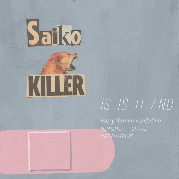 「Saiko Killer」 (2006-2011)  Acrylic and newsprint paper on canvas  W510×H610mm