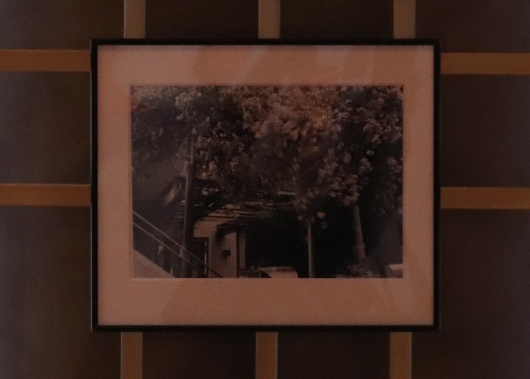 「ダンス！ダンス！ダンス！」より#2