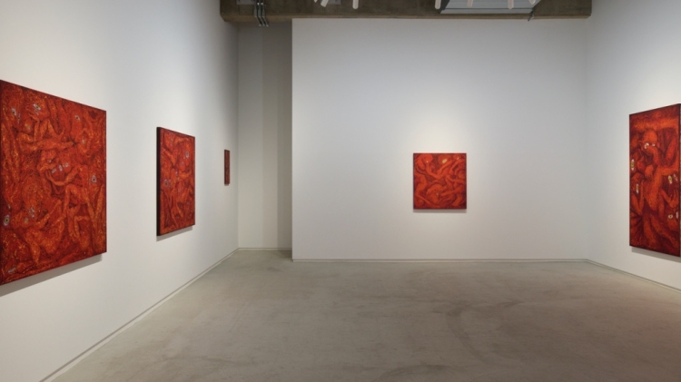 Installation view from "Beyond the Skin" at Tomio Koyama Gallery Tennoz, Tokyo, 2024 ©Akari Yamashita, photo by Kenji Takahashi