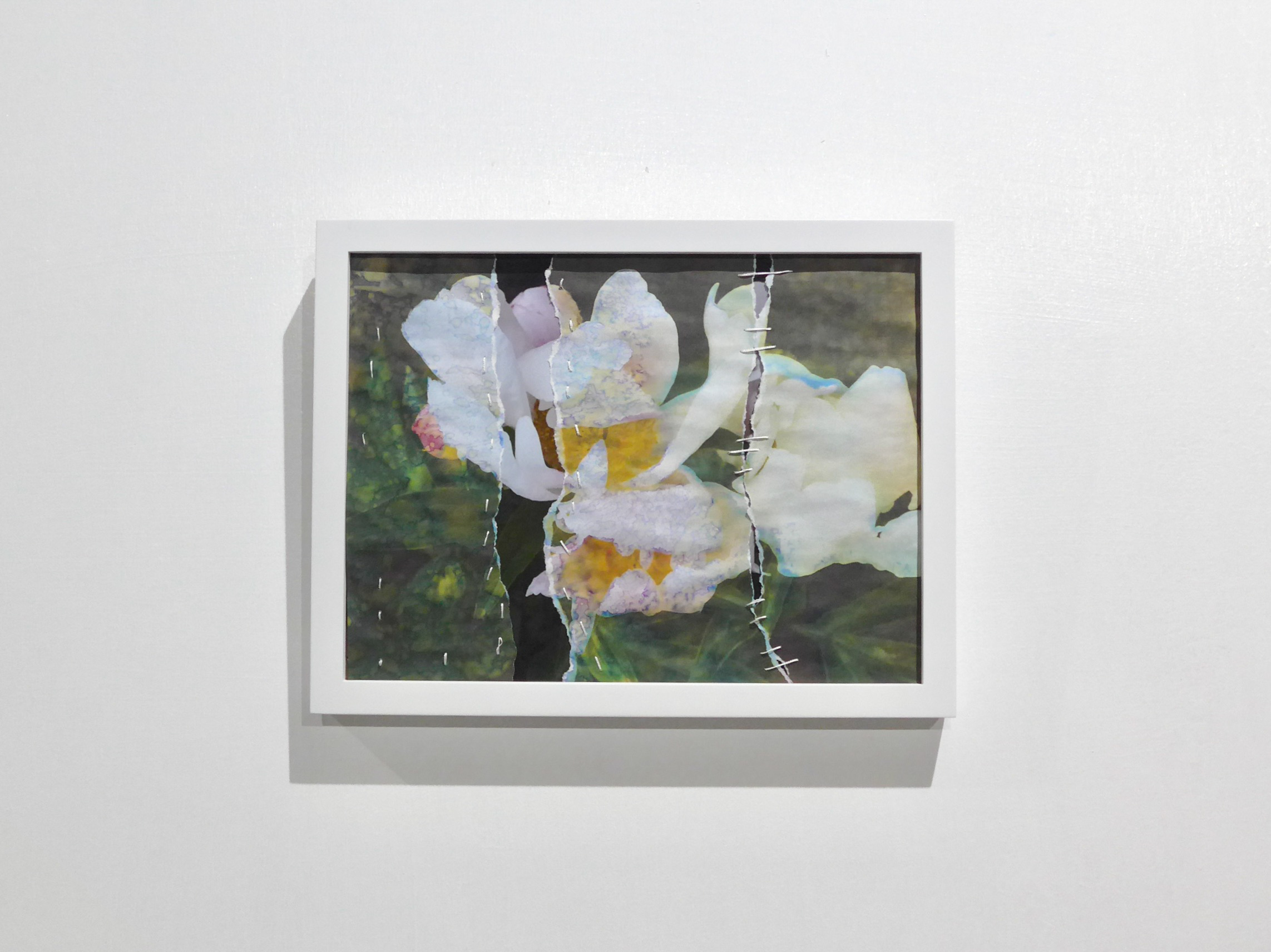 flowers 6 — MARPH