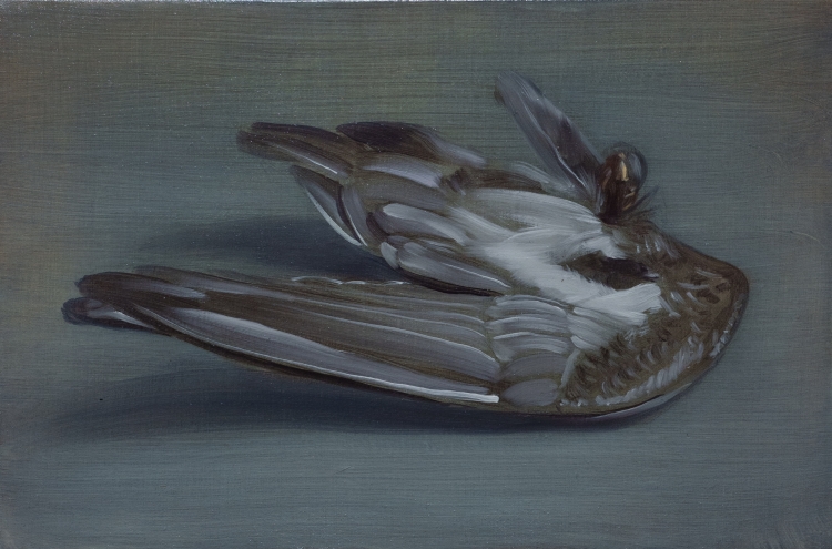 one wing / oil on canvas / 41.0×27.3 cm / 2024 年