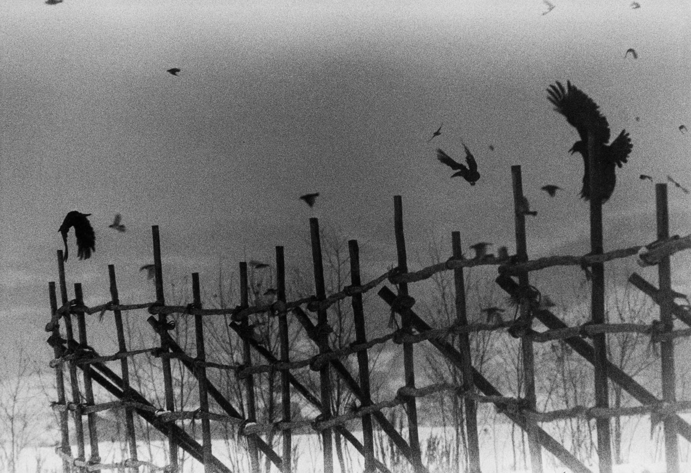 Masahisa Fukase — MARPH